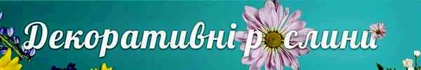 Декоративні рослини
