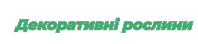 Декоративні рослини