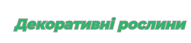 Декоративні рослини