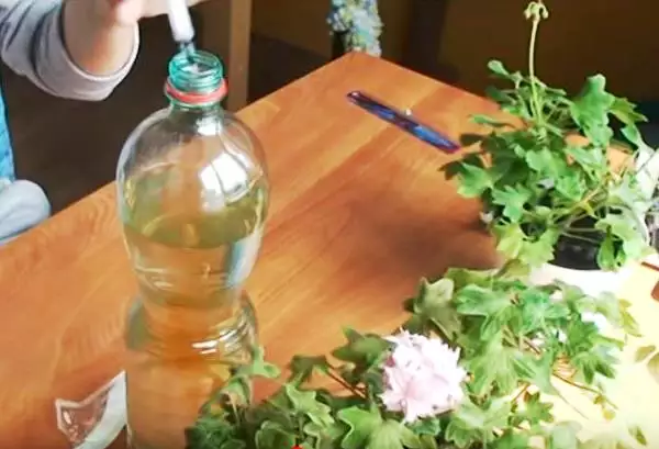 Підживлення рослин